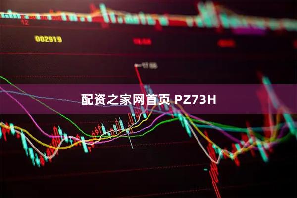 配资之家网首页 PZ73H