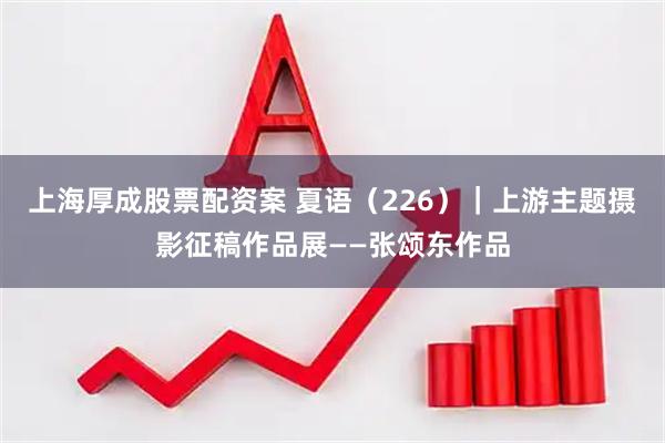 上海厚成股票配资案 夏语（226）｜上游主题摄影征稿作品展——张颂东作品